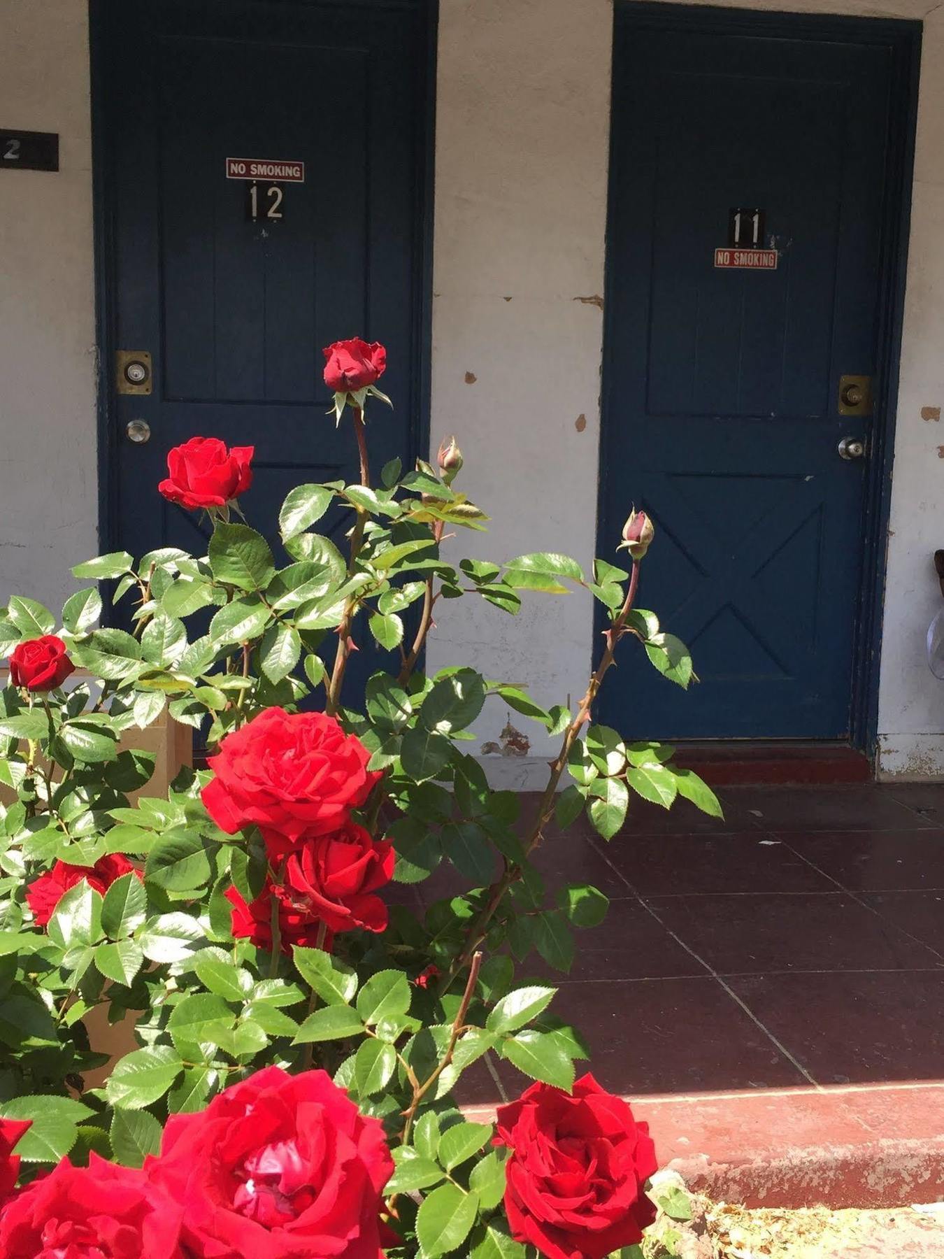 Townhouse Motel Bishop Bagian luar foto