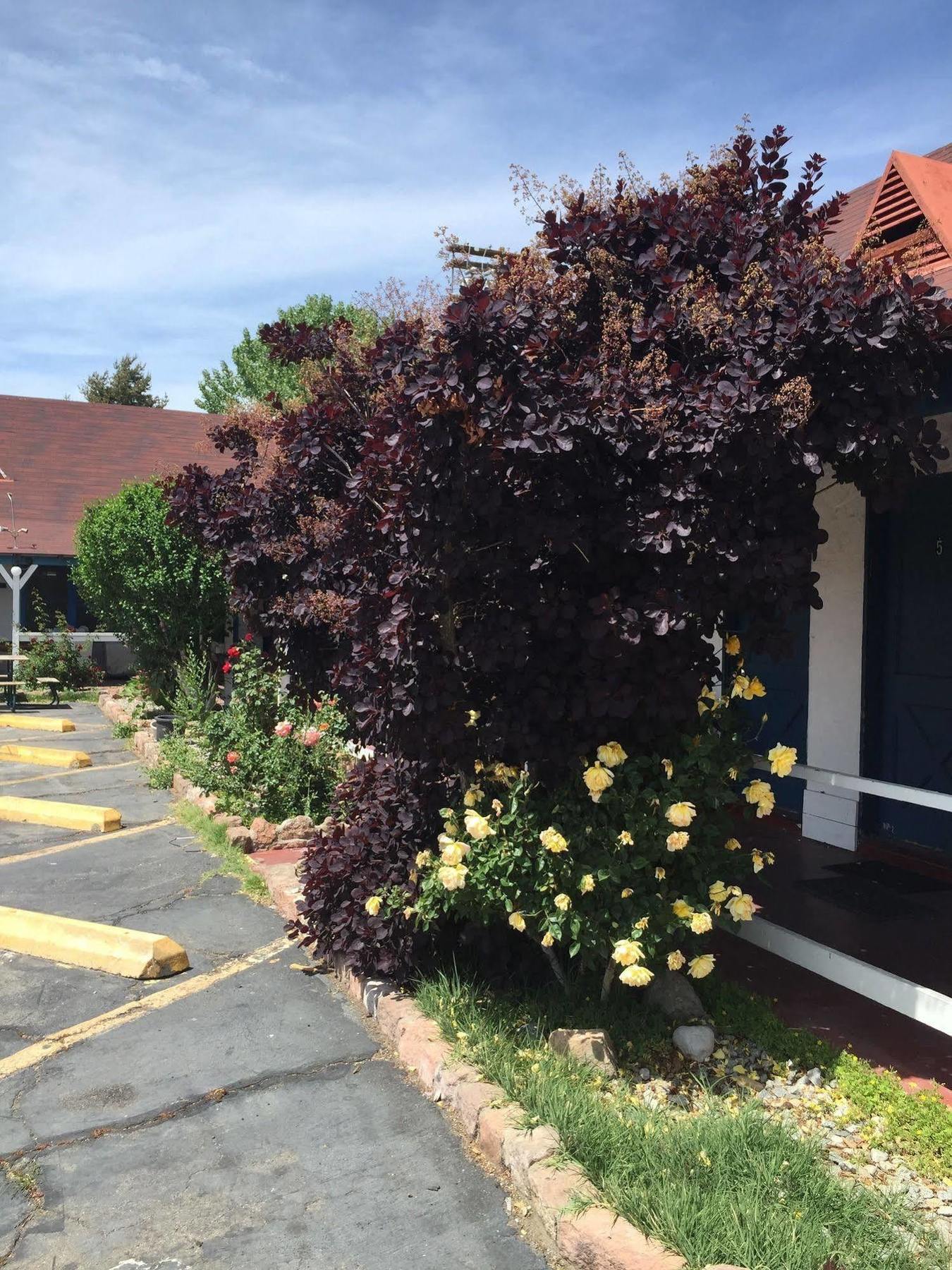 Townhouse Motel Bishop Bagian luar foto